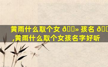 黄雨什么取个女 🌻 孩名 🍁 ,黄雨什么取个女孩名字好听